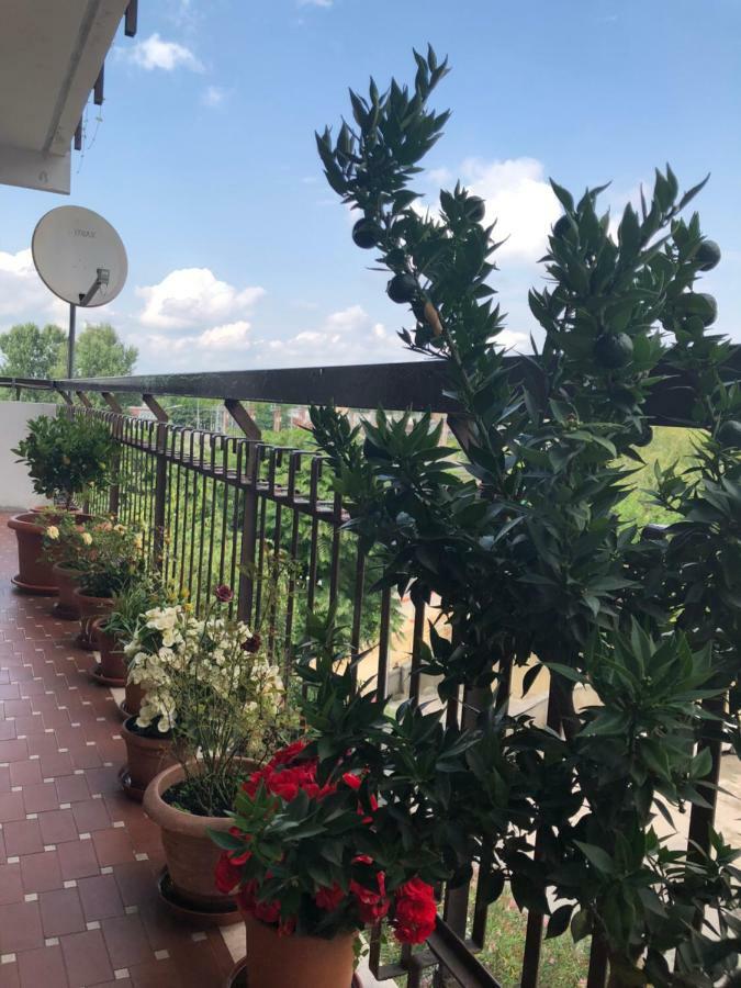 Venice H.S.Garden Marghera Exterior photo